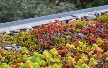 the cost of Tedsmore green roof installation